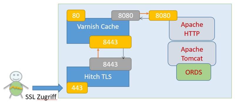  Varnish  HTTP Cache